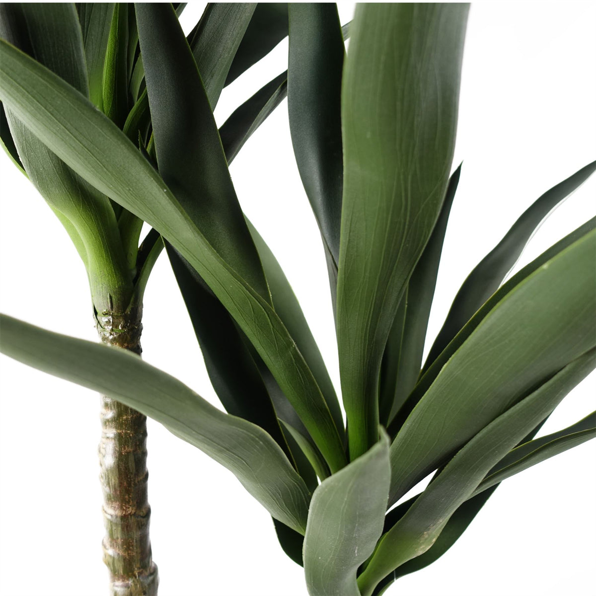 Leaf Design Artificial Yucca Tree, 120cm – UV Resistant Outdoor Use, Realistic Leaves & Trunk, Weighted Pot