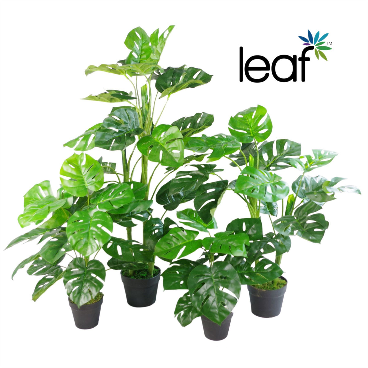 Artificial Monstera Plant – 100cm Monstera