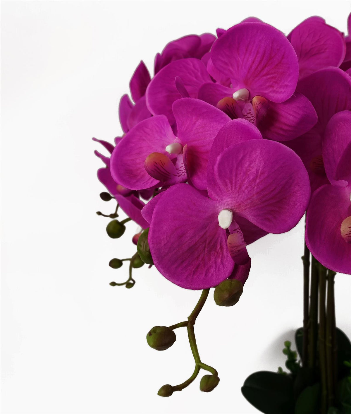 Leaf Design Artificial Deluxe XL Orchid, 85cm – Large Dark Pink Flowers, Table Decoration, Potted