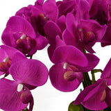 Leaf Design Artificial Deluxe XL Orchid, 85cm – Large Dark Pink Flowers, Table Decoration, Potted