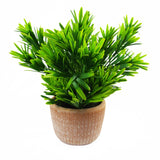 Leaf Artificial Honey Plant in Terracotta Pot – 22cm Dark Green Faux Houseplant