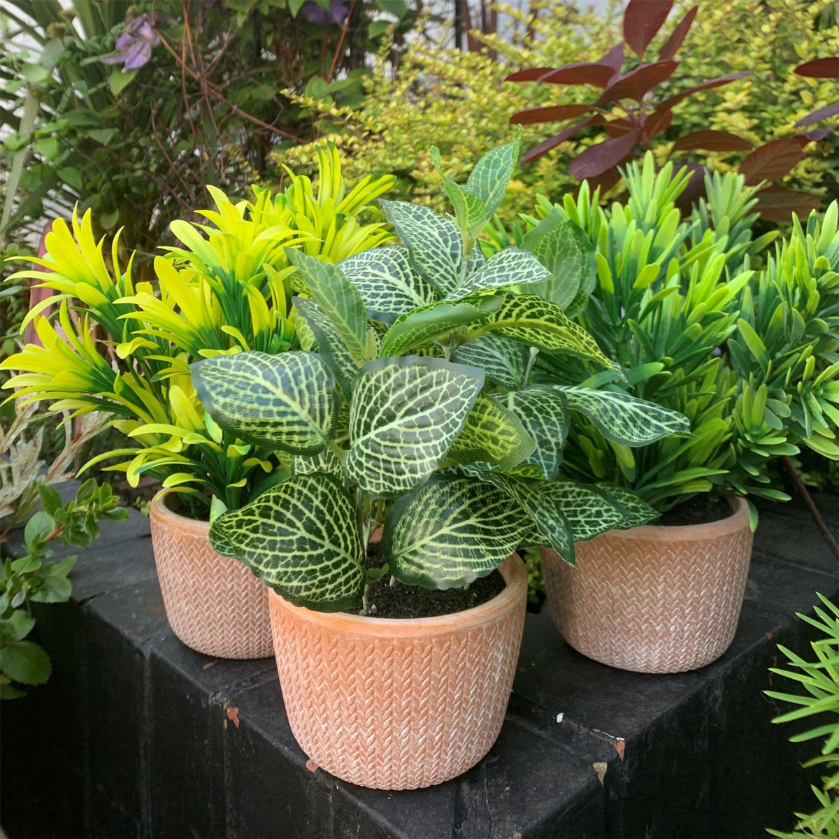 Leaf Artificial Honey Plant in Terracotta Pot – 22cm Dark Green Faux Houseplant