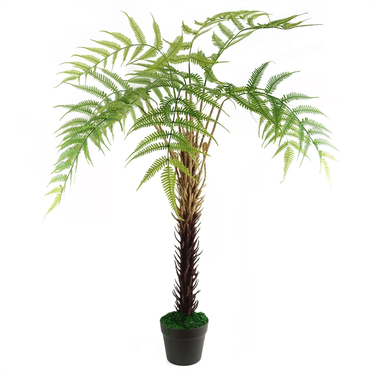 Leaf 120cm Artificial Fern Tree in Black Pot