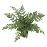 50cm Luxury Artificial Evergreen Fern Plant