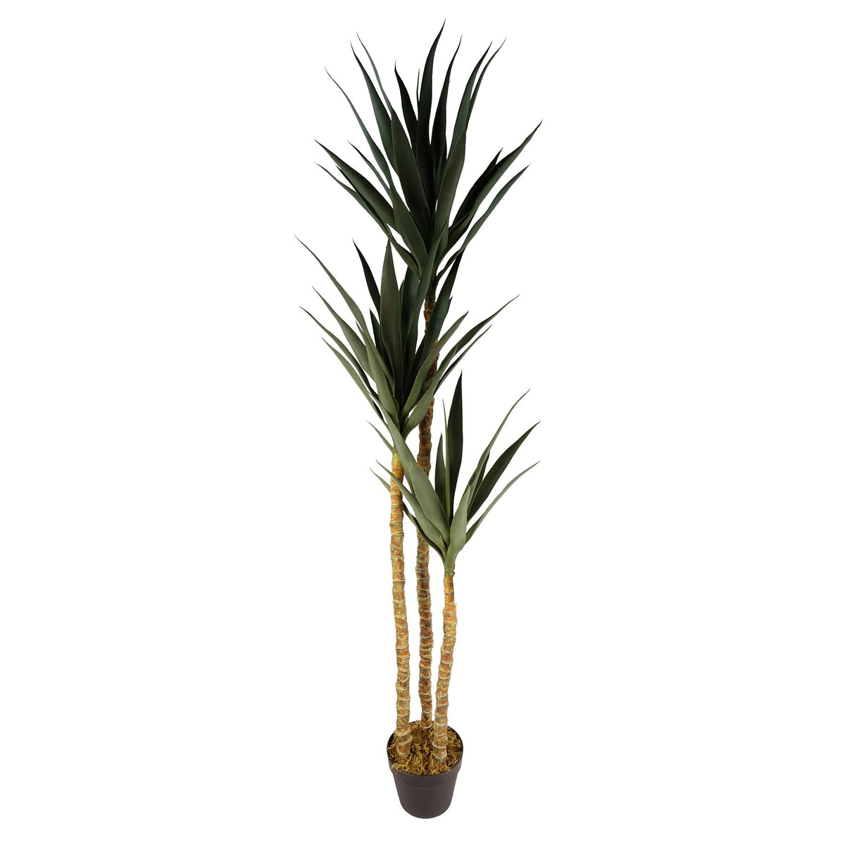 170cm Artificial XL Triple Yucca Tree Tropical Plant