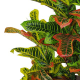 90cm Artificial Codiaeum Multicoloured House Plant – Large