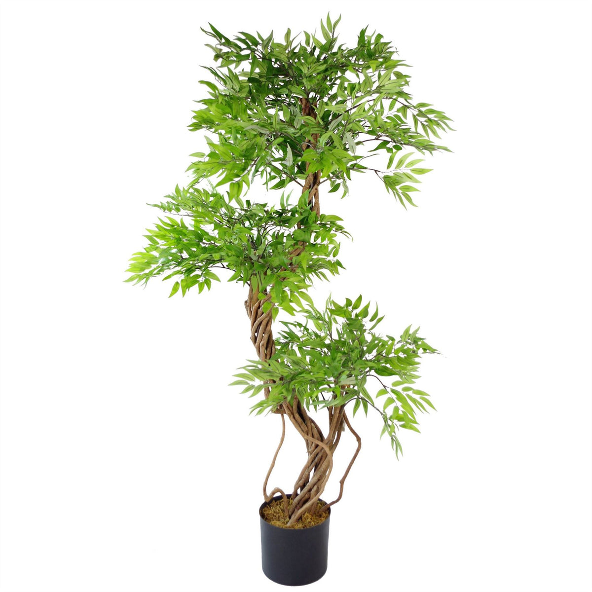 Leaf Design UK Artificial Japanese Fruticosa Ficus Tree, 140cm – Realistic Evergreen Plant with Wired Stems