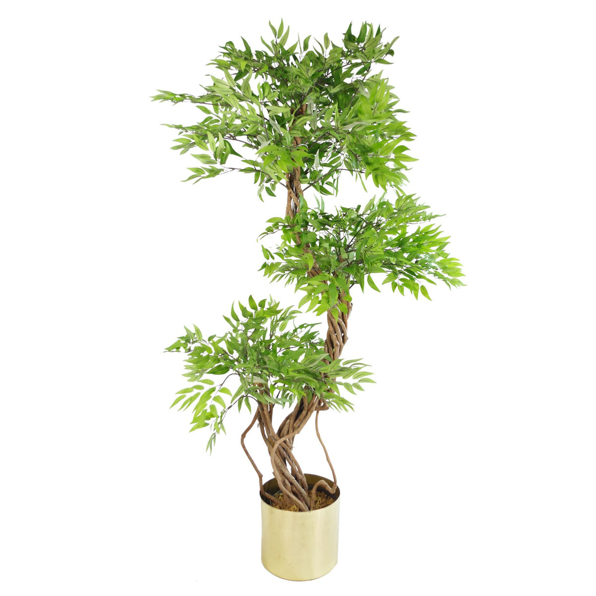 Leaf Design UK Artificial Japanese Fruticosa Ficus Tree, 140cm – Realistic Evergreen Plant with Wired Stems