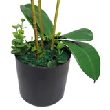 60cm Luxury Artificial Orchid – Triple Stem, Pink