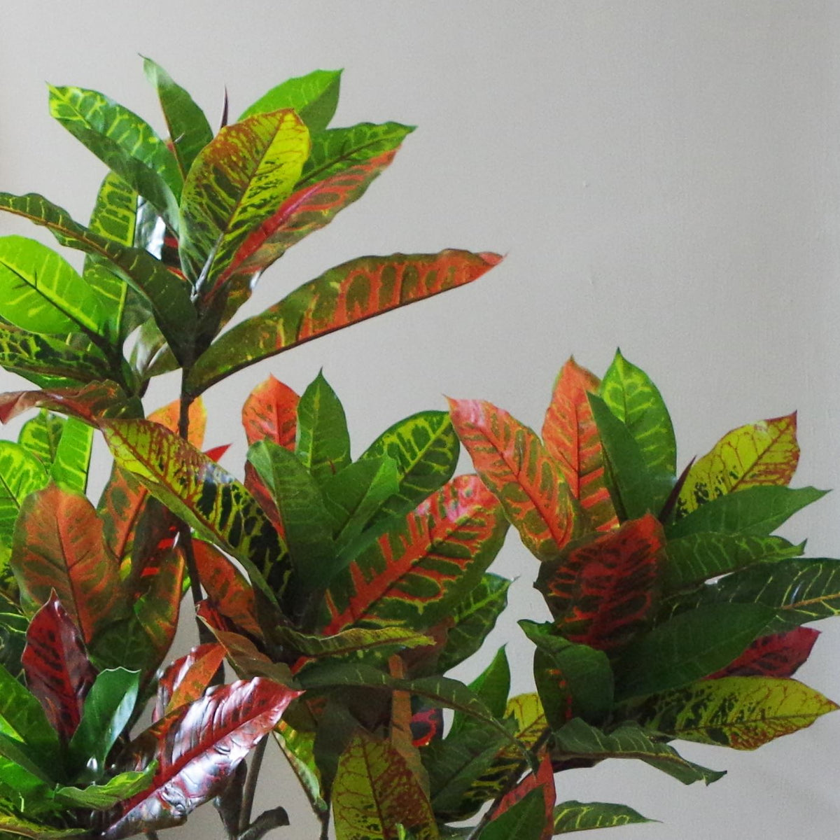 Leaf Artificial Codiaeum Variegatum Tree, 130cm – Multicoloured Croton with Wired Stems