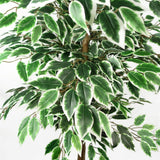 Leaf Premium Artificial Ficus Tree, 150cm with 1008 Silk Leaves – Realistic Faux Plant in Black Weighted Pot