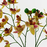 43cm Large Pink Yellow Artificial Orchid in Ceramic Planter