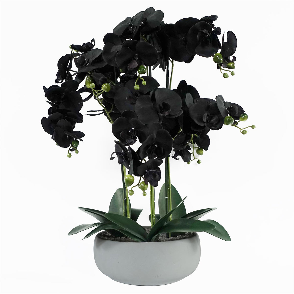 60cm Orchid Artificial Black – White Ceramic Planter