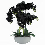 60cm Orchid Artificial Black – White Ceramic Planter