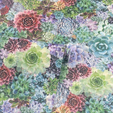 Arthouse Succulent Living Wall Wallpaper, Multi-Colour Botanical – Paste the Wall, No Soaking Needed