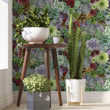 Arthouse Succulent Living Wall Wallpaper, Multi-Colour Botanical – Paste the Wall, No Soaking Needed