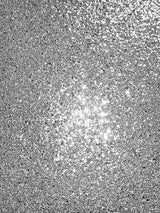 Arthouse Sequin Sparkle Wallpaper – Paste the Wall Textured Metallic Sequin Finish, Silver