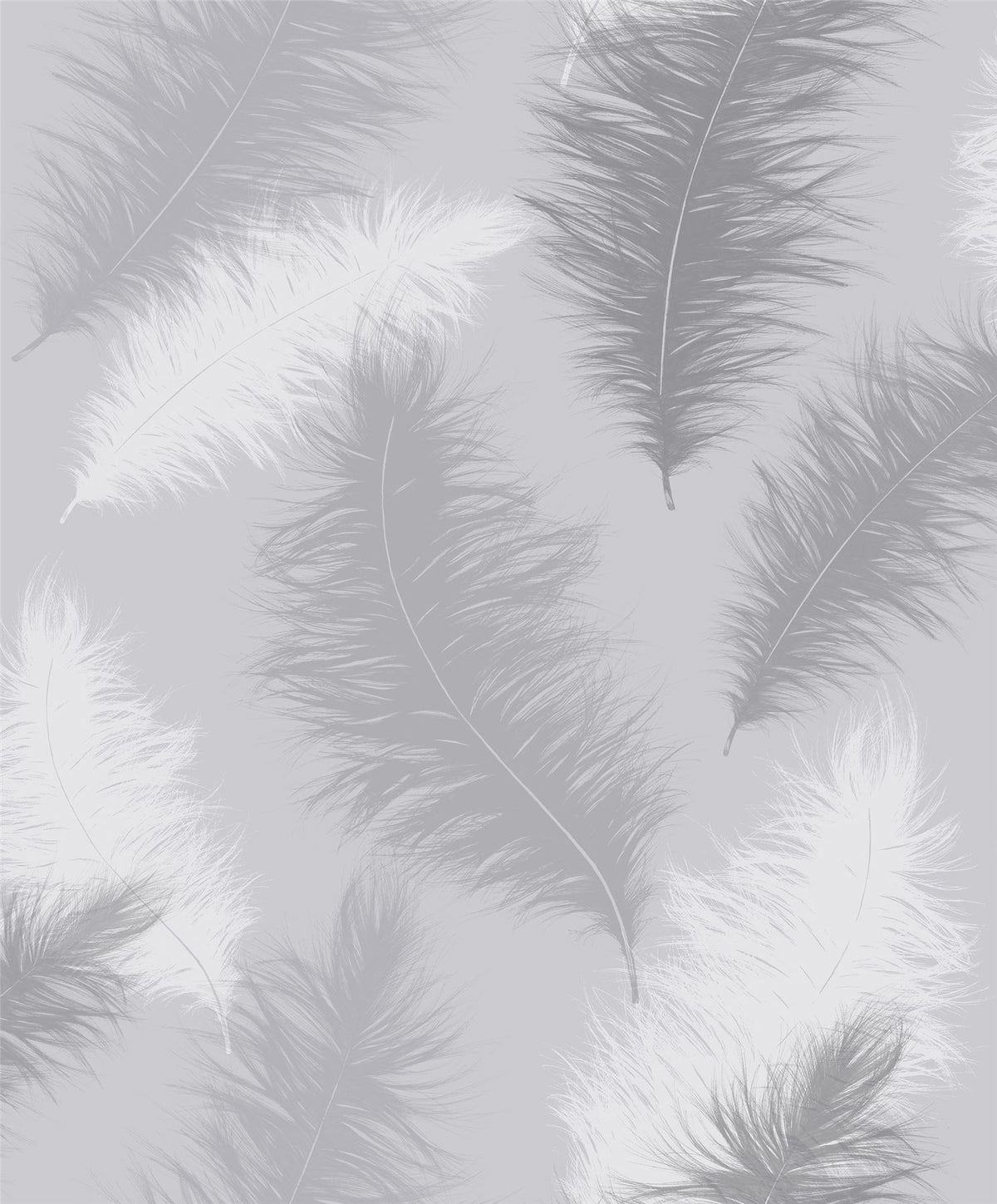 Arthouse Sussurro Wallpaper – Paste the Paper Gel Effect Feathers Feature Wall Covering, Grey