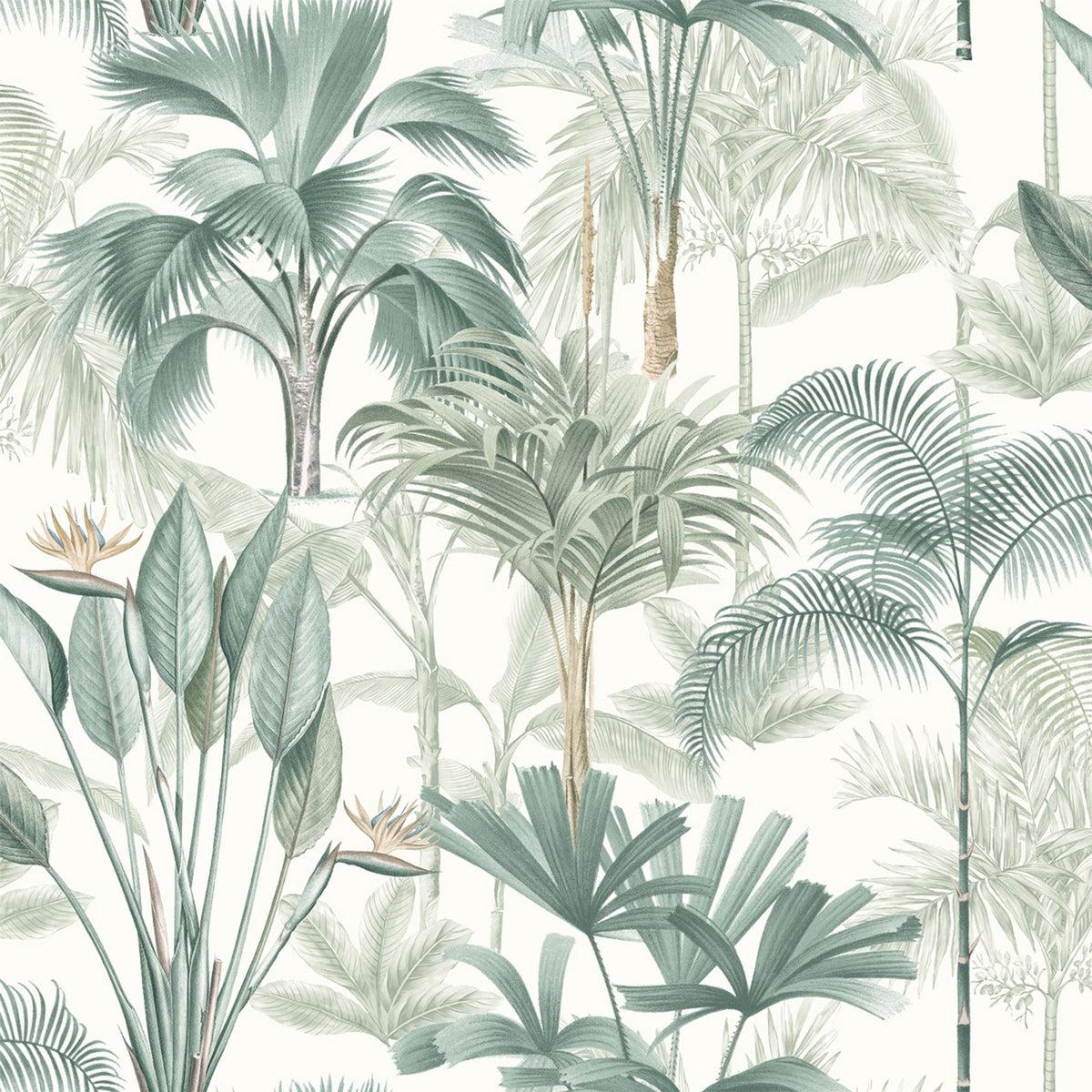 Arthouse King Palm Tropical Wallpaper with Palms & Birds of Paradise – Feature Wall Covering, Green
