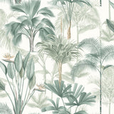 Arthouse King Palm Tropical Wallpaper with Palms & Birds of Paradise – Feature Wall Covering, Green