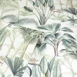 Arthouse King Palm Tropical Wallpaper with Palms & Birds of Paradise – Feature Wall Covering, Green