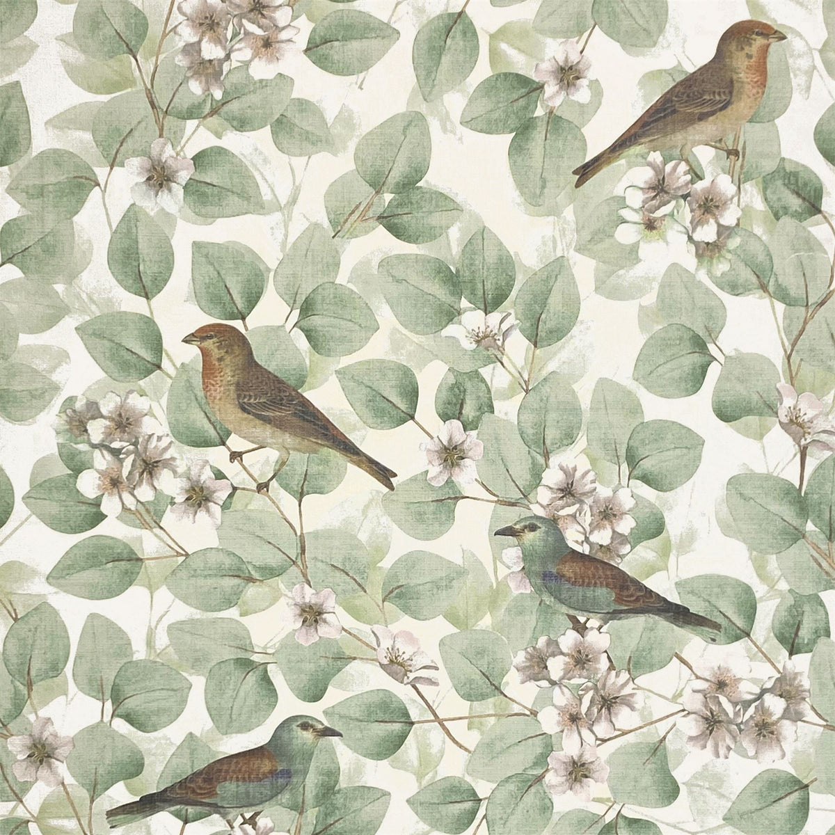 Arthouse Birds & Blossoms Vintage-Style Wallpaper – Paste the Paper Floral Feature Wall Covering, Green