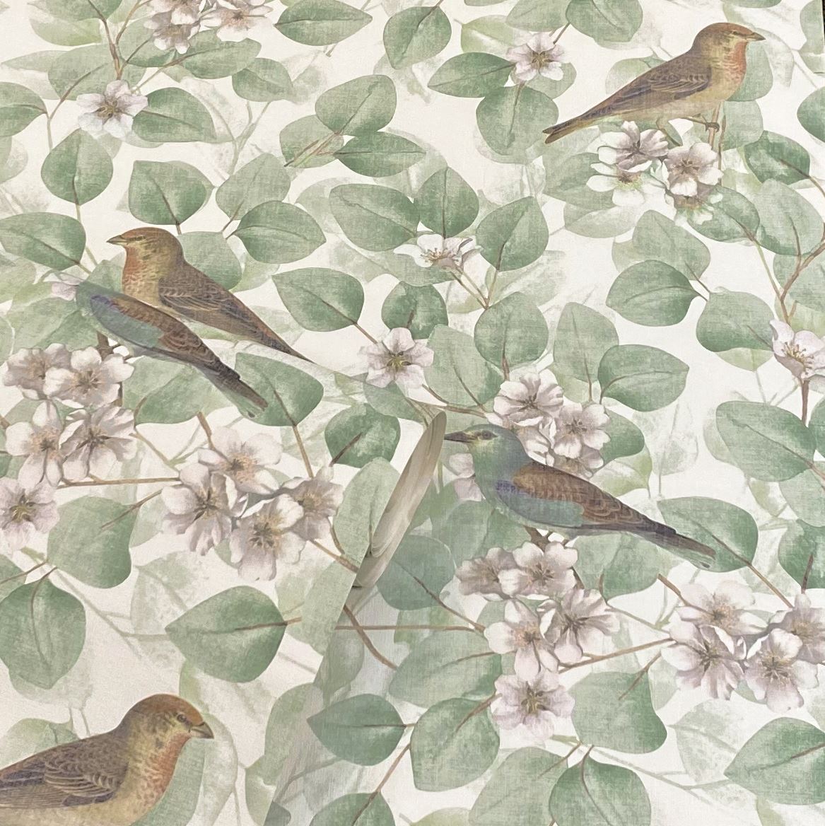 Arthouse Birds & Blossoms Vintage-Style Wallpaper – Paste the Paper Floral Feature Wall Covering, Green