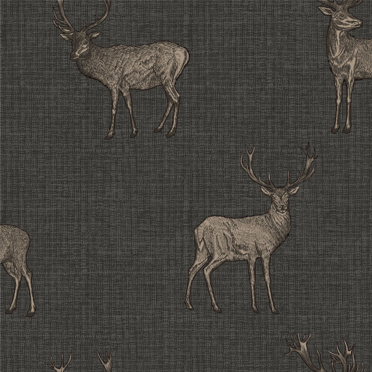Arthouse Heritage Stag Wallpaper with Copper Metallic Highlight – Traditional Country Feature Wall, Charcoal
