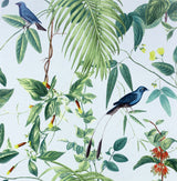 Arthouse Exotic Garden Wallpaper with Birds, Flowers and Foliage – Vintage Botanical Print, Blue
