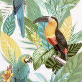 Arthouse Toucan Jungle Wallpaper – Paste the Paper Tropical Feature Wall Covering, Multi