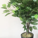 60cm Artificial Ficus Tree / Plant – Large Bushy Shape