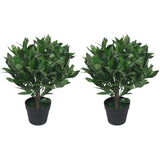 Pair of 50cm Dwarf Artificial Bay Trees – Realistic Laurel Topiary Bushes, Potted, Low Maintenance