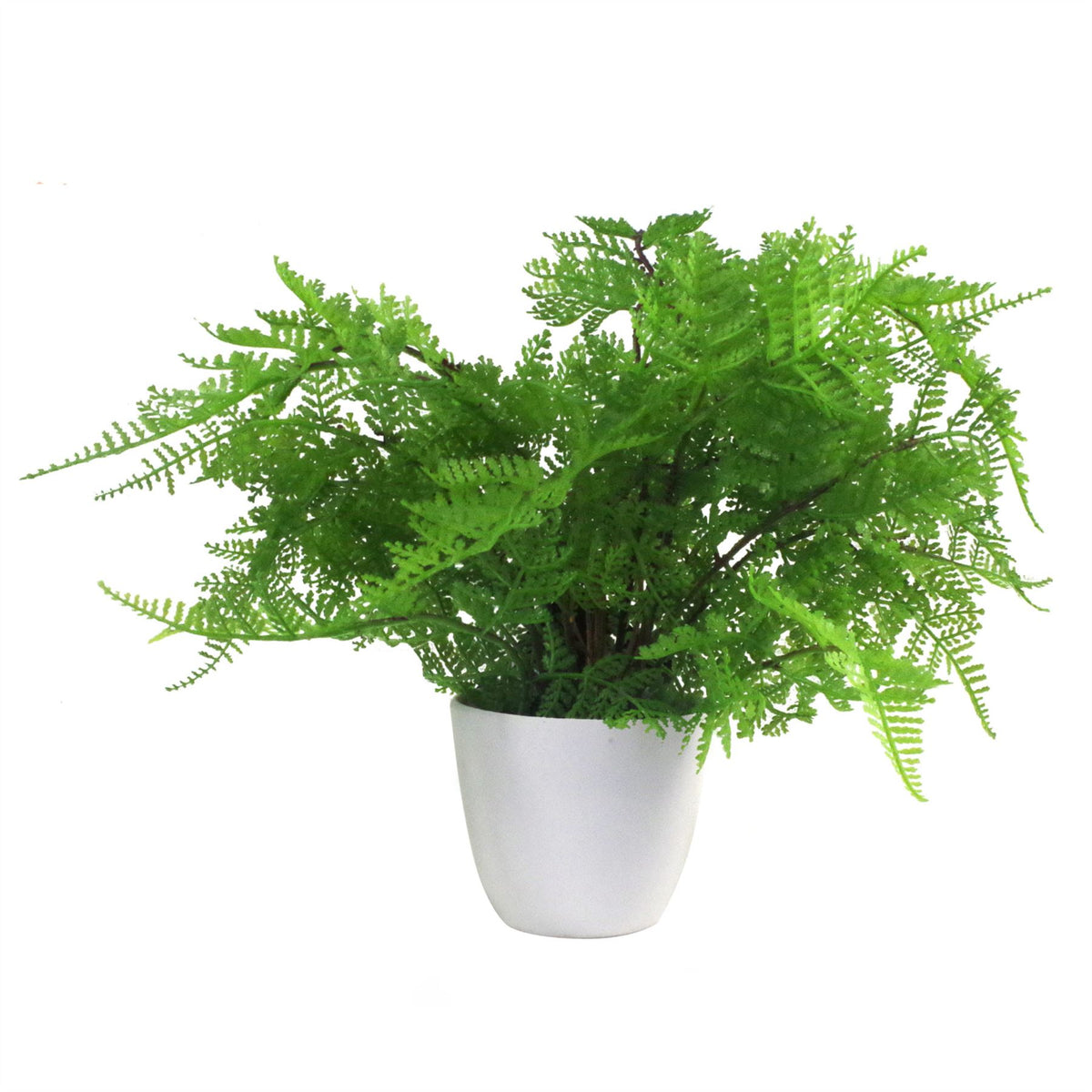 Artificial Potted Lady Fern (Athyrium Filix-Femina), 30cm – Faux Fern in White Pot with Black Soil Effect