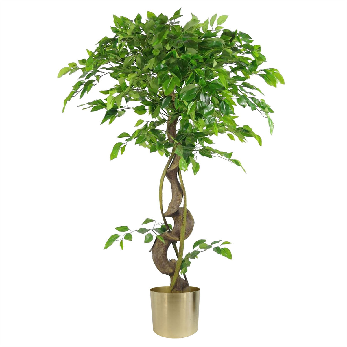 Twisted Trunk Artificial Fruticosa Style Ficus Tree, 120cm (4ft) with Gold Metal Planter – Premium Faux Plant
