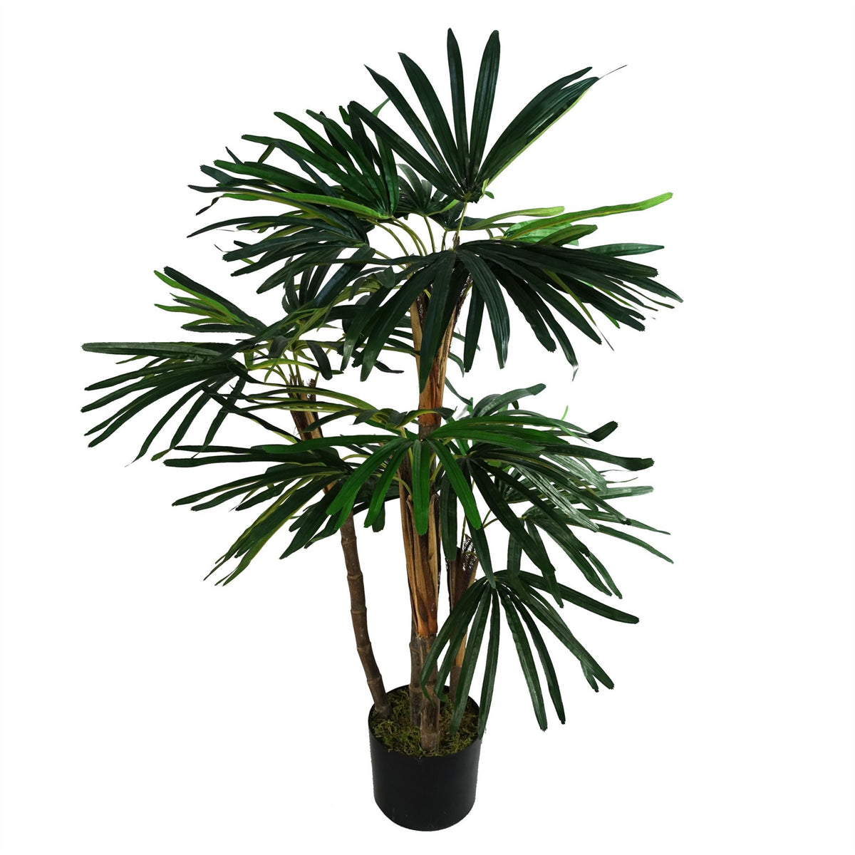 Artificial Raphis Palm Tree, 100cm with Natural Trunk – Realistic Silk Leaves in Weighted Pot