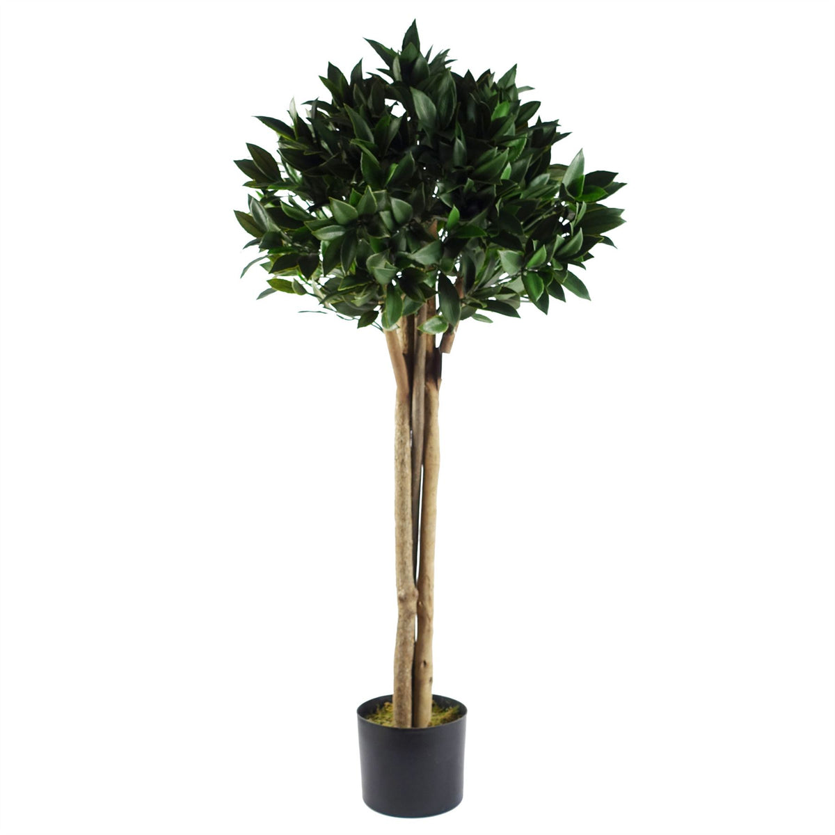 Botanik Artificial Bay Tree Laurel with Natural Wood Trunk, 120cm – UV Resistant Outdoor Topiary