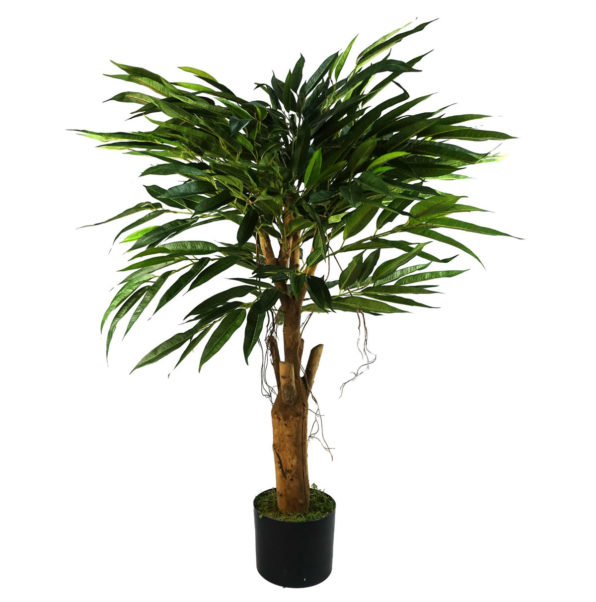 Artificial Longifolia Ficus Tree, 100cm with Natural Trunk – Realistic Silk Leaves & Hanging Vines