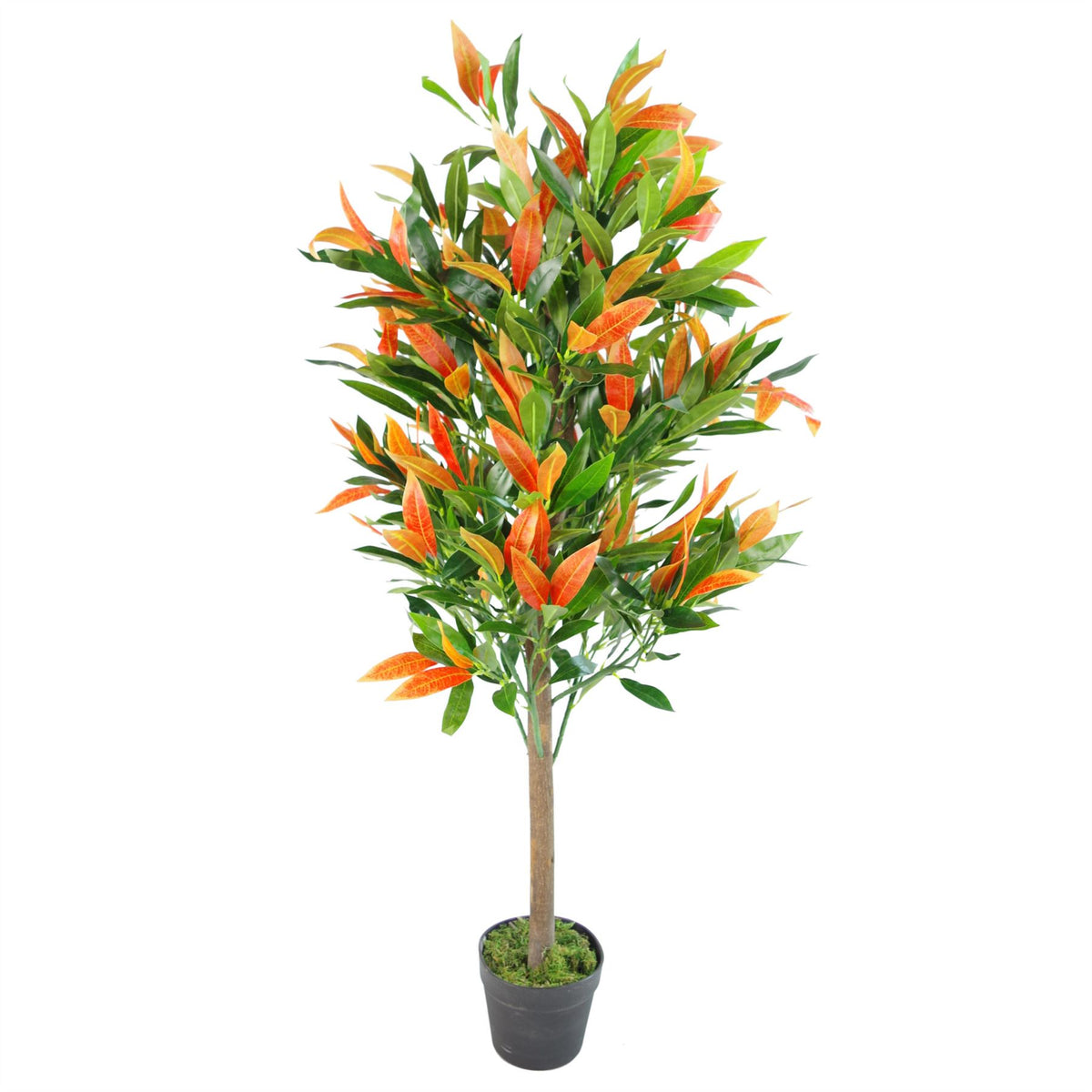 Leaf Design UK Artificial Red and Green Ficus Tree in Black Pot, 130cm