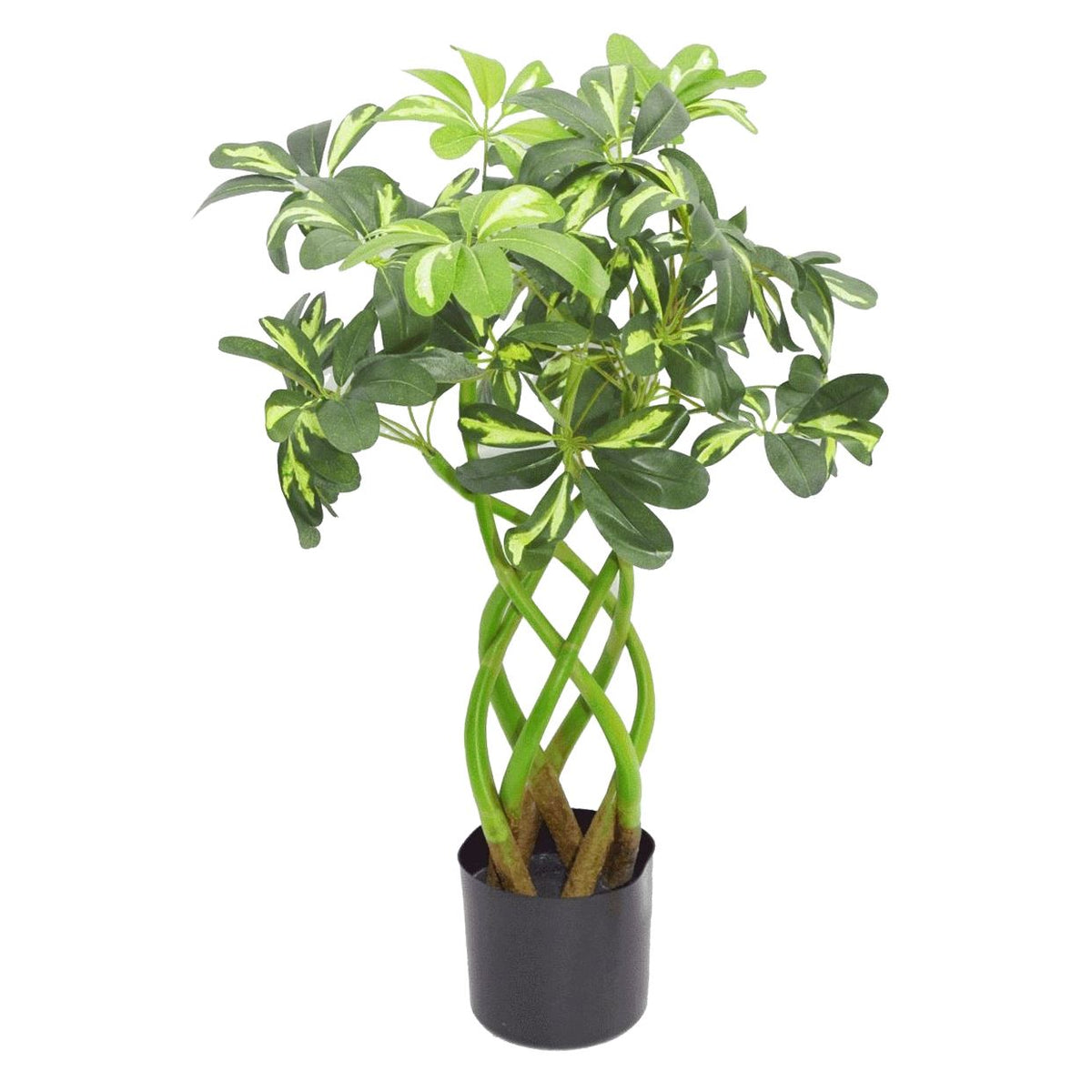 70cm Artificial Arboricola Bonsai Plant – Twisted Stem Golden Capella Evergreen Bush, Green