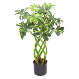 70cm Artificial Arboricola Bonsai Plant – Twisted Stem Golden Capella Evergreen Bush, Green