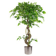 Artificial ficus tree in silver planter
