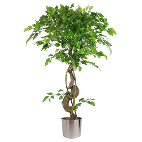 Artificial ficus tree in silver planter