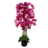 150cm Giant Artificial Pink Orchid Plant with 189 Real Touch Flowers – Lifelike Home Decor