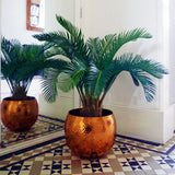 80cm Artificial Cycas Palm Plant – Tropical Tree for Home Decor, Green & Brown