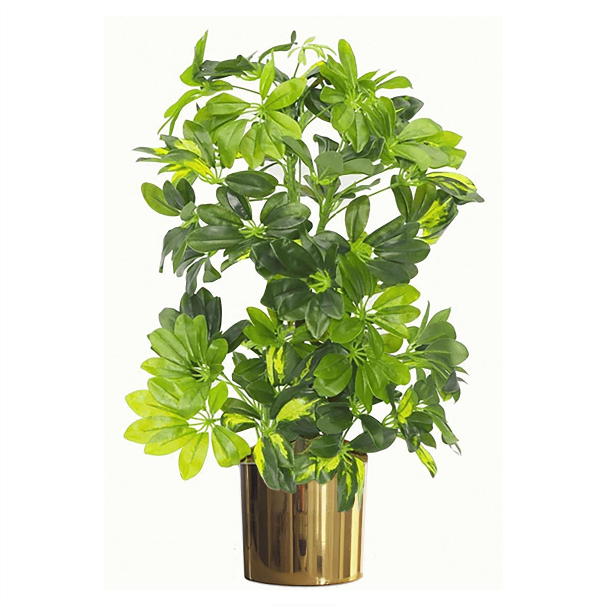 75cm Artificial Arboricola Gold Capella Plant Gold Metal Planter