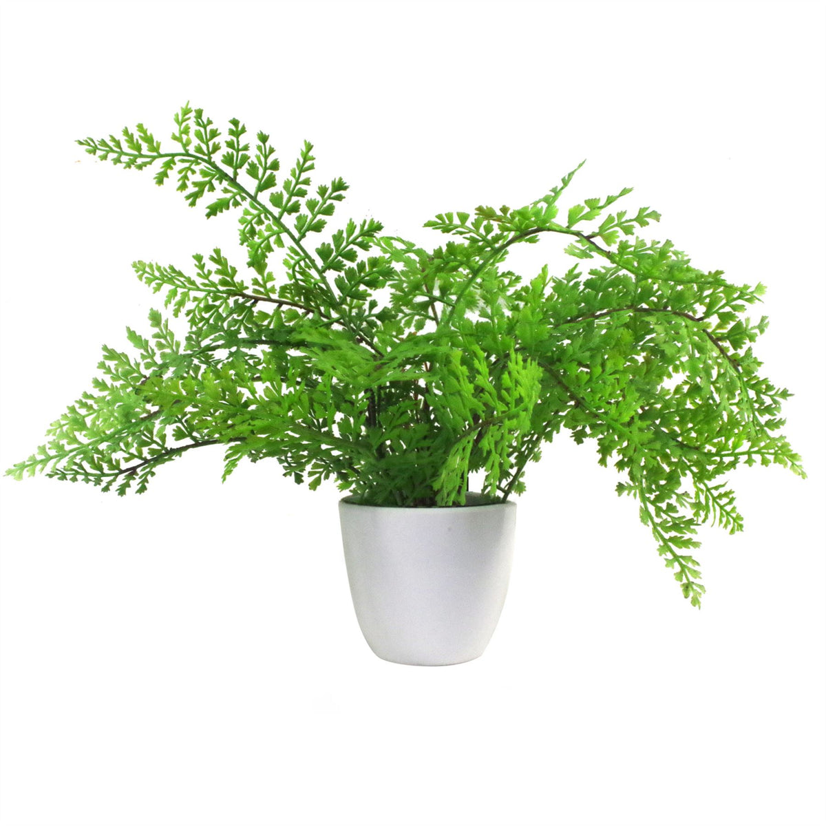 Artificial Potted Royal Fern, 30cm Osmunda Regalis – Realistic Greenery in White Pot with Soil Effect