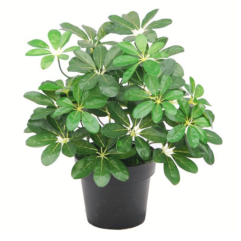 Leaf 55cm Artificial Umbrella Plant with 450 Wired Leaves in Black Pot – Realistic Faux Foliage, Dark Green