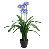 Botanik 90cm Premium Artificial Agapanthus with Blue Silk Flowers – Potted Faux Plant for Indoor Display