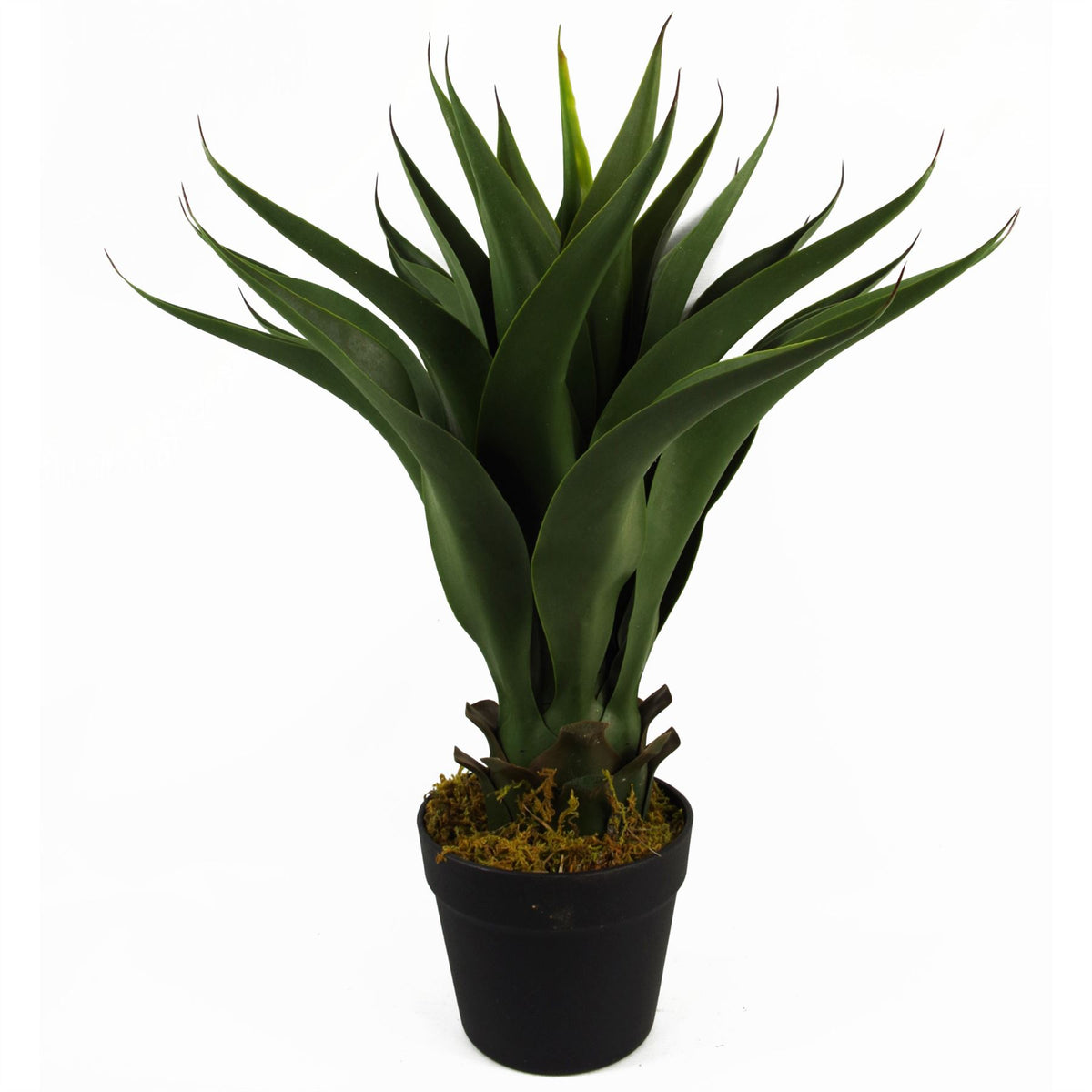 Leaf 55cm Artificial Yucca Plant in Plastic Pot
