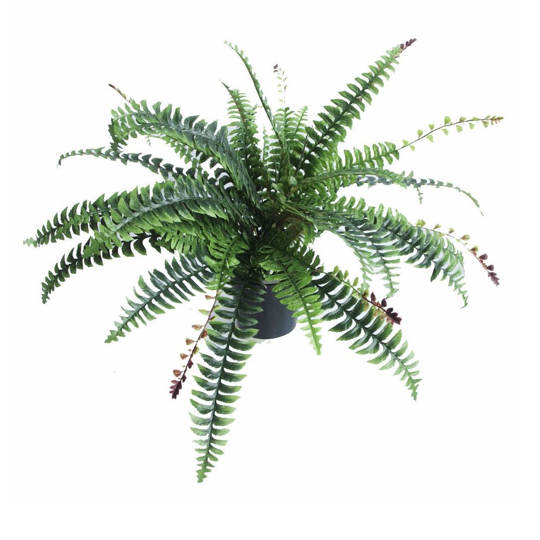 60cm Artificial Boston Fern Plant – Lifelike Home Decor Greenery, Green
